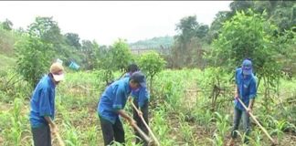 NHIP SONG KHANH HOA NGAY 28-2-2012 35261