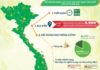 infographic Ngày chủ nhật xanh toàn quốc lần thứ VI - 2018