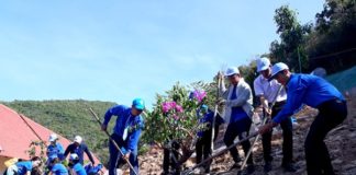 Lãnh đạo, đoàn viên, thanh niên Công ty Yến sào Khánh Hòa ra quân trồng cây xanh tại đảo Đông Tằm.