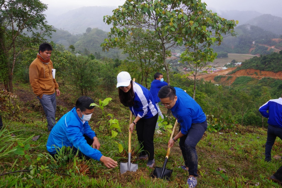 Bí thư Tỉnh đoàn Phạm Thị Thanh cùng tham gia trồng rừng với các bạn đoàn viên thanh niên