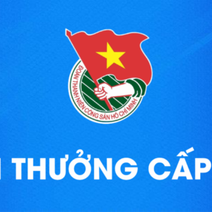 CẤP TỈNH