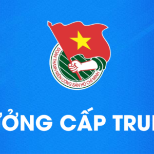 CẤP TW